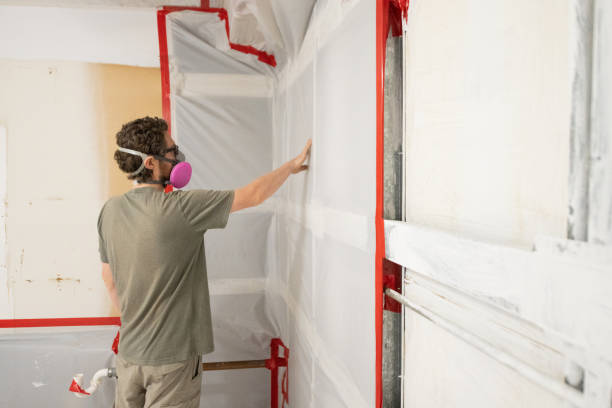 Best Biohazard Mold Removal  in Cumberland, IN