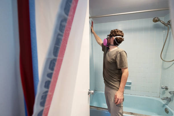 Best Residential Mold Inspection & Testing  in Cumberland, IN
