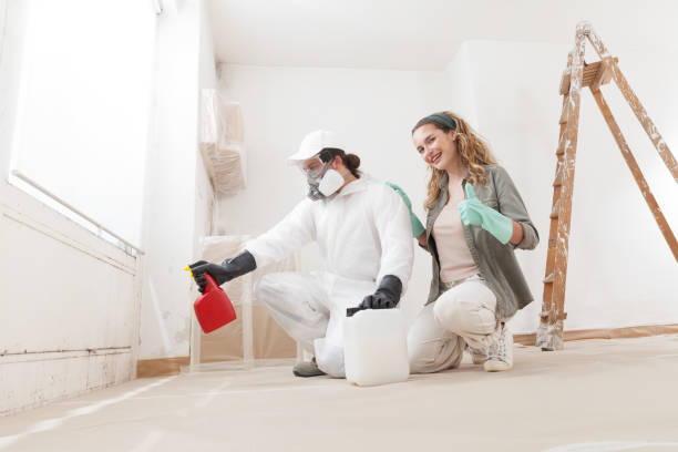 Best Mold Odor Removal Services  in Cumberland, IN