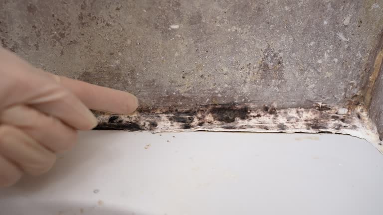 Best Asbestos and Lead Testing During Mold Inspection  in Cumberland, IN